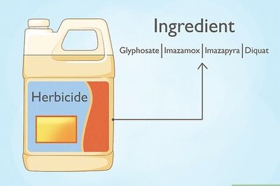 How to Get Rid of Cattails