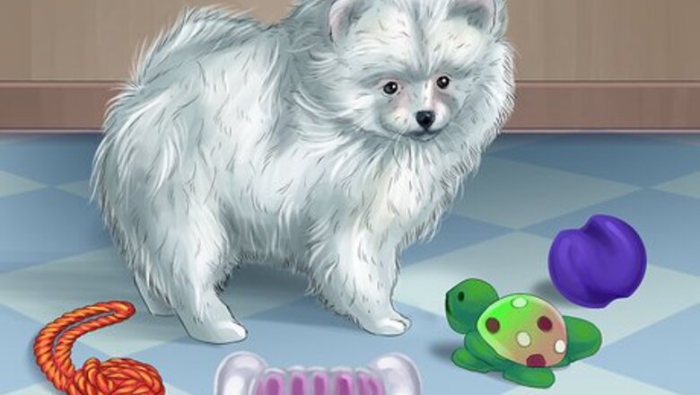 How to Rotate Your Dog's Toys