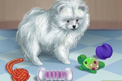 How to Rotate Your Dog's Toys