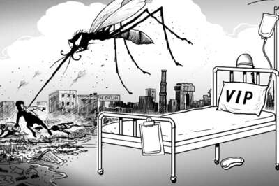 Delhi Govt Issues Notices to 81 Institutions Over Mosquito Breeding