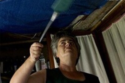 The mystery behind the art of fly swatting unravelled