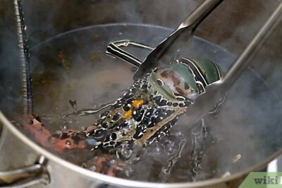 How to Clean a Lobster