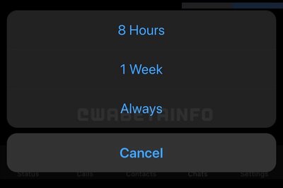 WhatsApp Will Let You Mute An Annoying Contact Or Group Forever, And We Say A Big Thank You