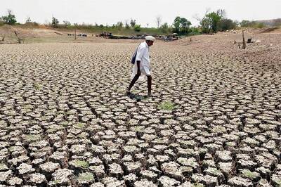 OPINION | Agroforestry Only Way Forward to Avert Recurrent Droughts & Floods in Tamil Nadu