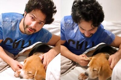 Varun Dhawan Shares Adorable Picture With His Puppy Angel