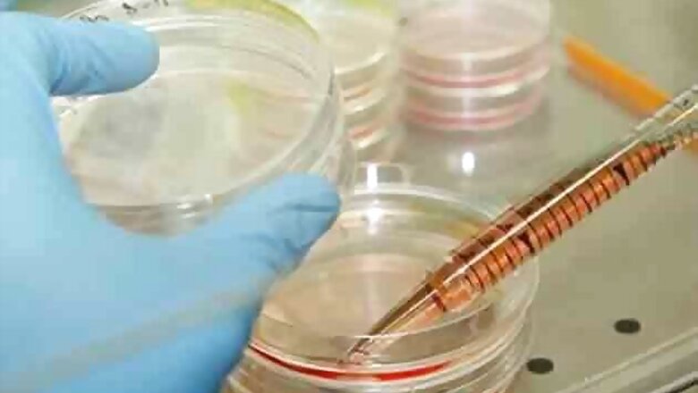Scientists develop human eyeball, liver in lab