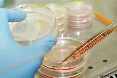 Scientists develop human eyeball, liver in lab