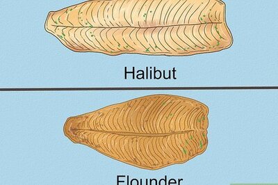 Are Flounder and Halibut the Same? How to Tell These Fish Apart