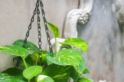 7 Vastu Tips To Maintain A Healthy Balance And Harmony In Your House