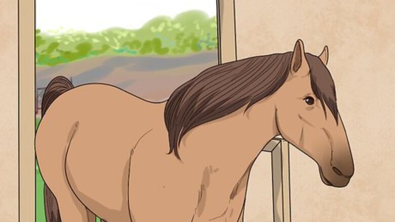 How to Save Time and Money As a Horseowner