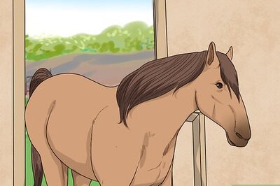How to Save Time and Money As a Horseowner