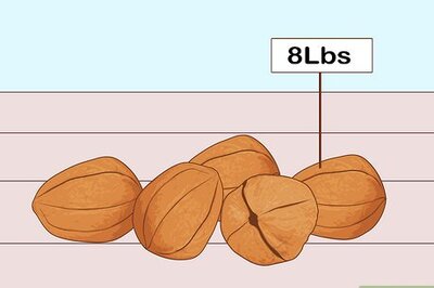How to Make Walnut Oil