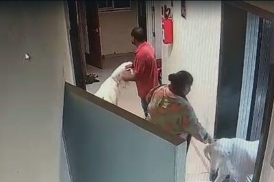 Mumbai: Man Brings Goats Home for Sacrifice on Bakrid; Neighbours Recite Hanuman Chalisa to Protest