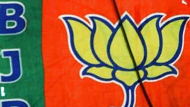Corruption, inflation to be 2014 election issues: BJP