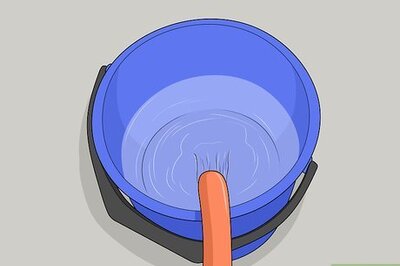 How to Treat Horse Lice