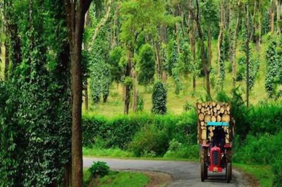 Kashmir To Coorg, 5 Places To Keep in Mind When You Plan Your Next Vacation
