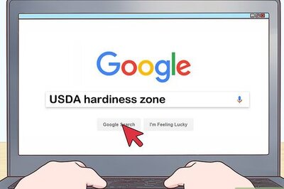 How to Grow Cherries