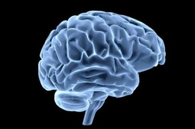 Here's How Your Brain Balances Pleasure and Pain