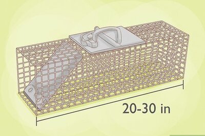 How to Trap a Rabbit