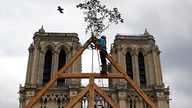 Carpenters Wow Public With Medieval Techniques At Notre Dame