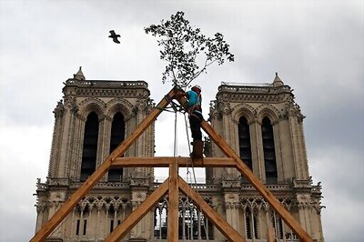 Carpenters Wow Public With Medieval Techniques At Notre Dame