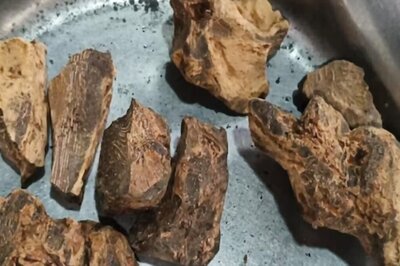 Chopchini Churna: Ancient Ayurvedic Cure For Uric Acid, Arthritis And Skin Ailments