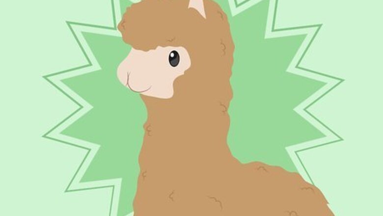 How to Buy Alpacas