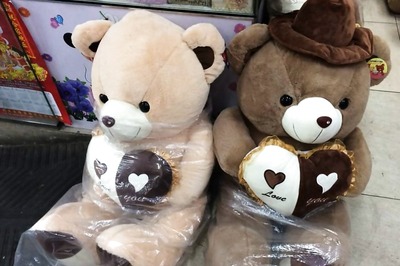 Robotic Teddy Bear Boosts Mood in Hospitalised Children Says Study