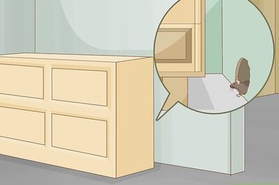 How to Get a Mouse Out of the House