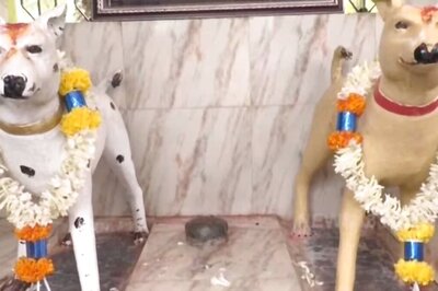In Kanataka's Agrahara Valagerehalli Village, Devotees Pray To Dog Idols