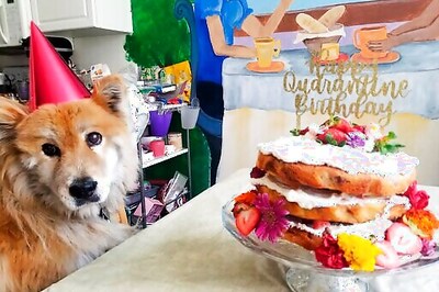 VIRUS DIARY: She Has Her Cake, But Others Can't Eat It, Too