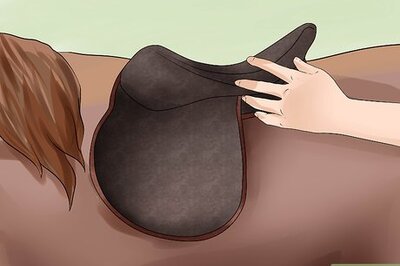 How to Adjust the Stirrups on an English Saddle