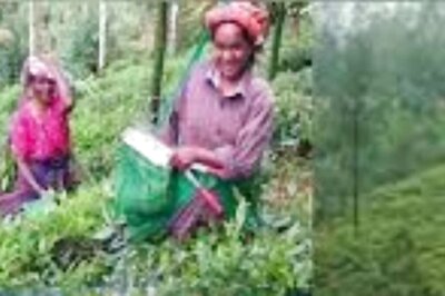 In Tamil Nadu’s Nilgiris, Tea Estate Workers’ Union Demands Basic Amenities