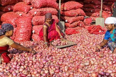 ‘If We Had Not Intervened, Onion Prices Would Have Touched Rs 100/ Kg on Nov 30’: Govt on Export Ban
