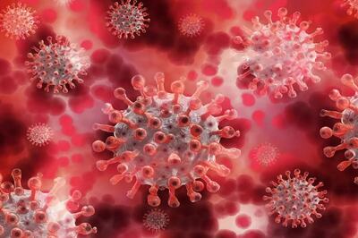 Covid-19 Patients Have Higher Risk of Dying After Cardiac Arrest, Study Says