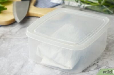 How to Keep Spinach Fresh