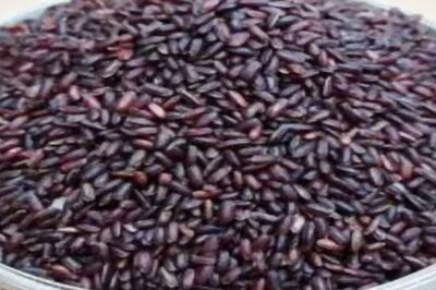 Improved Digestion To Immunity, Health Benefits Of Eating Karunkuruvai Rice