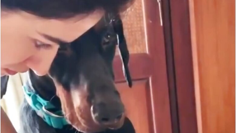 Disha Patani Grooms Her Pet Dog Goku at Home, Watch Video