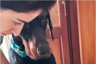 Disha Patani Grooms Her Pet Dog Goku at Home, Watch Video