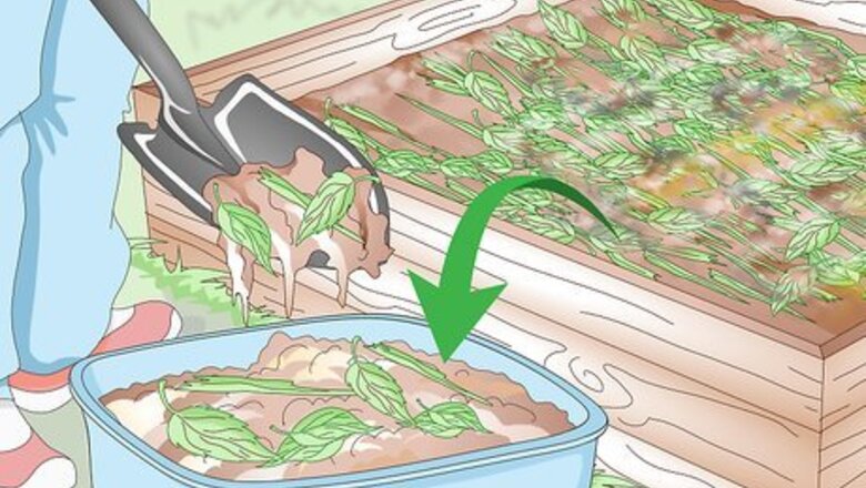 How to Prepare Your Garden for the Fall