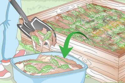 How to Prepare Your Garden for the Fall