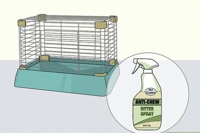 How to Stop a Bunny from Chewing Its Cage