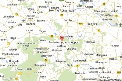 Jharkhand plans ropeway in Dalma Hills to promote eco-tourism