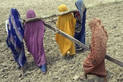 Drought-hit farmers seek prez's nod to die