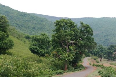 Odisha Man Moves Mountains to Send Children to School