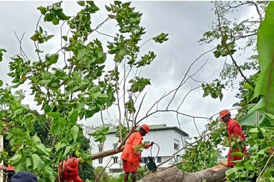 Cyclone Asani Updates: Depression to Turn into Cyclonic Storm by Evening, Andaman Schools shut; Archipelago Braces for Very Heavy Rain