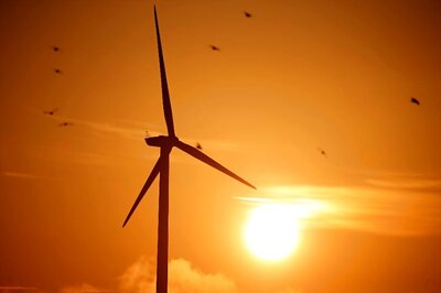 With Rs 4 Crore Funding, Govt Sets Eagle Eye on Areas Where Renewable Energy May Pose Threat to Bird Safety