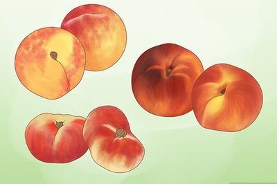 How to Start a Peach Tree from a Pit