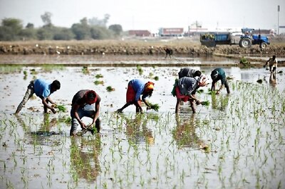 Big Ticket Reforms to 'Unshackle' Agri Sector: India Inc on Centre's Third Tranche of Economic Stimulus