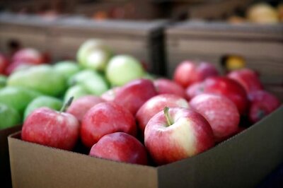 J&K Govt Procures 1.34 Lakh Apple Boxes from Fruit Growers in South Kashmir